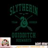 Harry Potter Slytherin Team Seeker Hogwarts Quidditch PNG Download copy.jpg