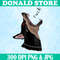 Donald Store.jpg