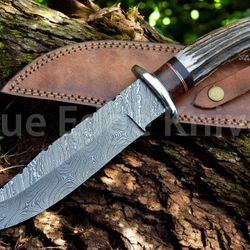 handmade damascus steel blade hunting bowie knife with stag handle christmas, anniversary, new year gift for him
