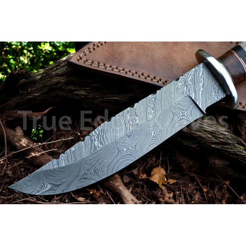 Handmade Damascus Steel Blade Hunting Bowie Knife With Stag Handle Christmas Anniversary New Year G 2