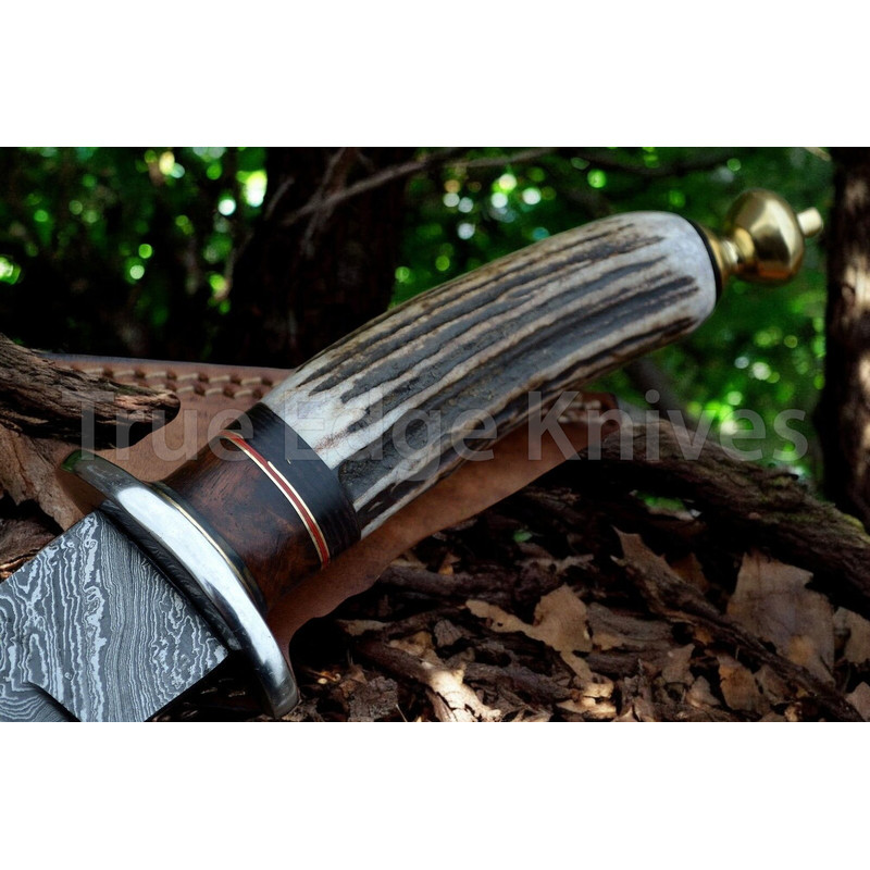 Handmade Damascus Steel Blade Hunting Bowie Knife With Stag Handle Christmas Anniversary New Year G 3