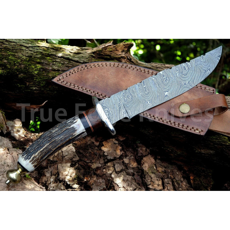 Handmade Damascus Steel Blade Hunting Bowie Knife With Stag Handle Christmas Anniversary New Year G 5