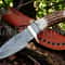Handmade Damascus Steel Hunting Gut Hook Skinner Knife With Stag Handle Christmas Anniversary New Y 0