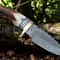 Handmade Damascus Steel Hunting Gut Hook Skinner Knife With Stag Handle Christmas Anniversary New Y 3