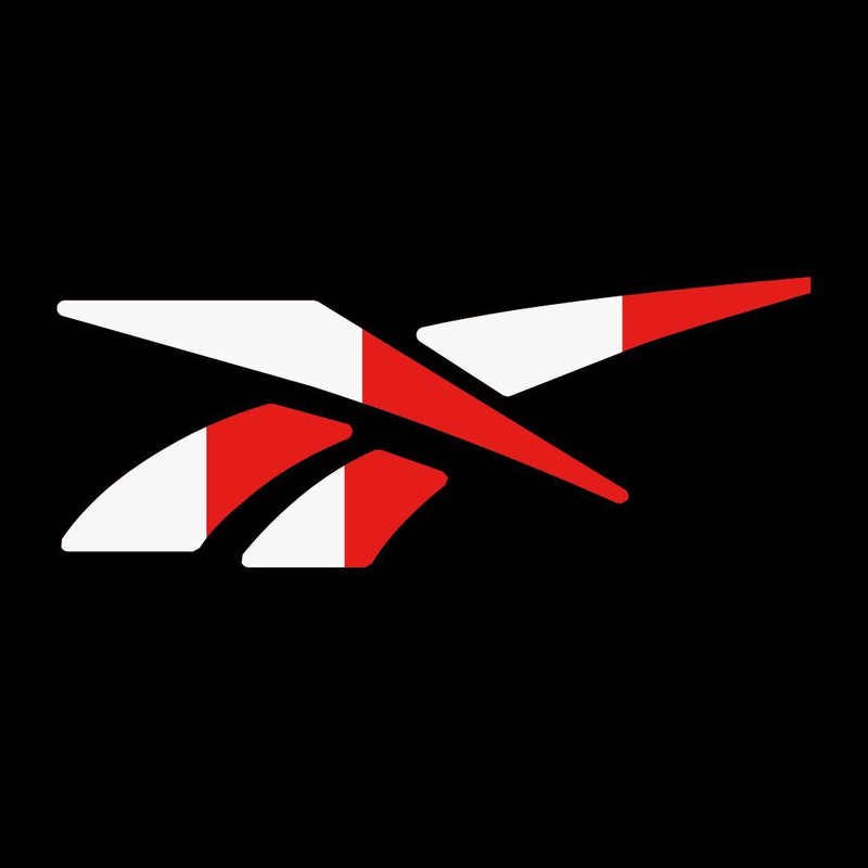 Reebok Logo Collection HighQuality Digital Pack Of 10 Logos Reebok Branding Essentials 10 Premium R 2