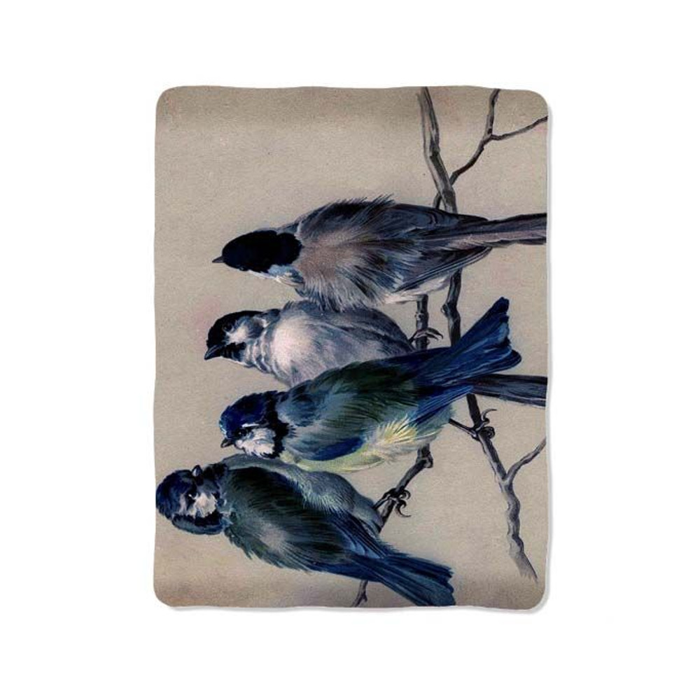 Bird Blanket 0