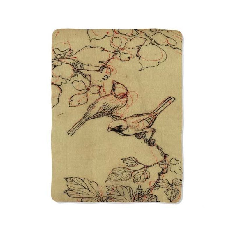 Vintage Bird On Floral Blanket 0