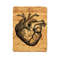 Vintage Heart Anatomy Blanket 0