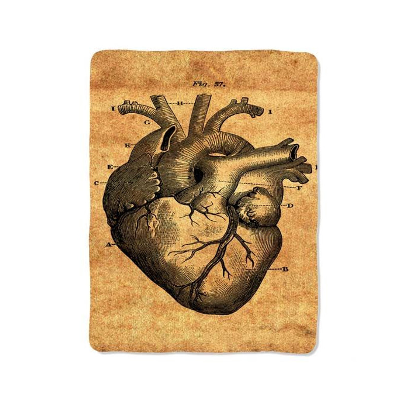 Vintage Heart Anatomy Blanket 0