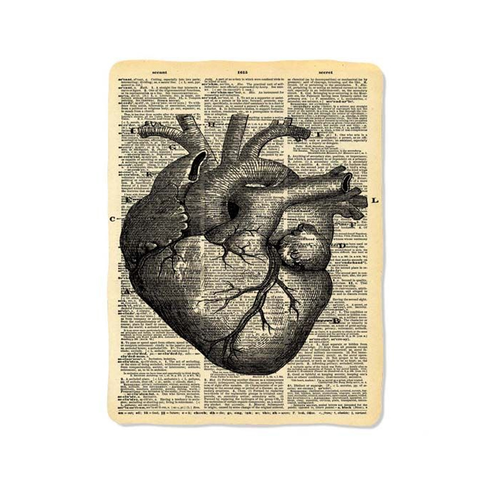 Dictionary Heart Diagram Blanket 0