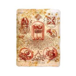 jellyfish octopus anatomy 10 blanket