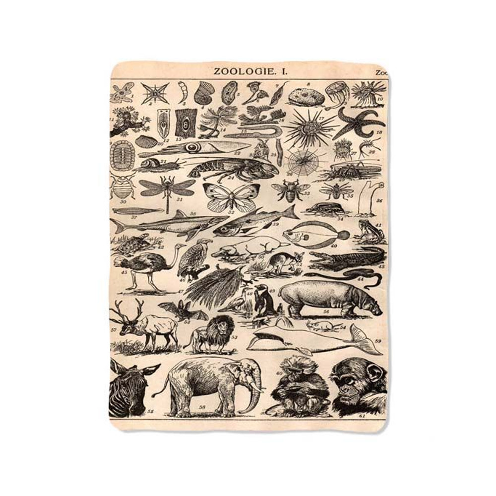 Vintage Zoologie Blanket 0