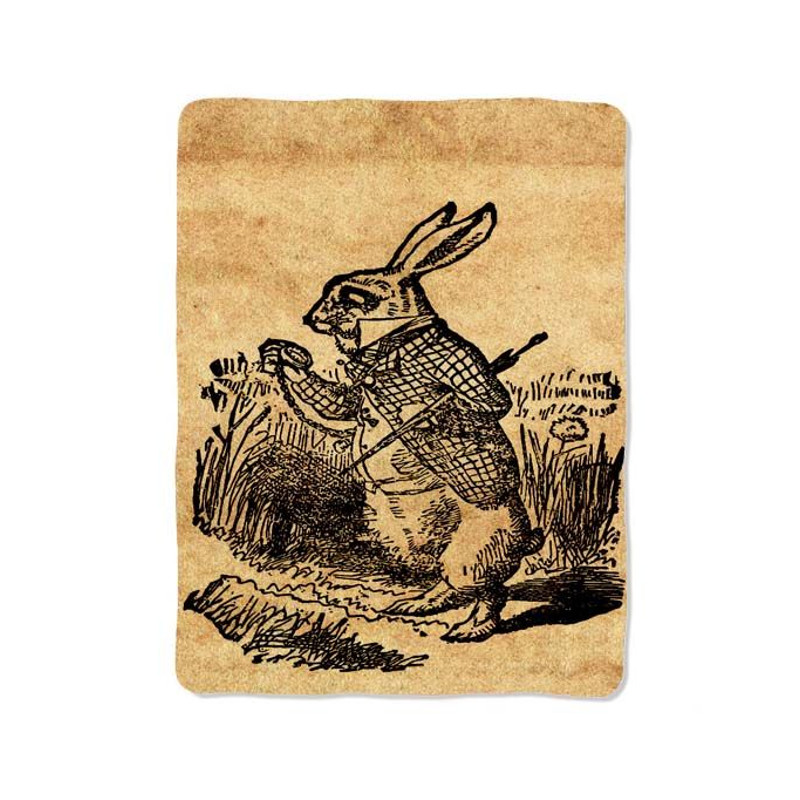 Alice In Wonderland 61 Blanket 0