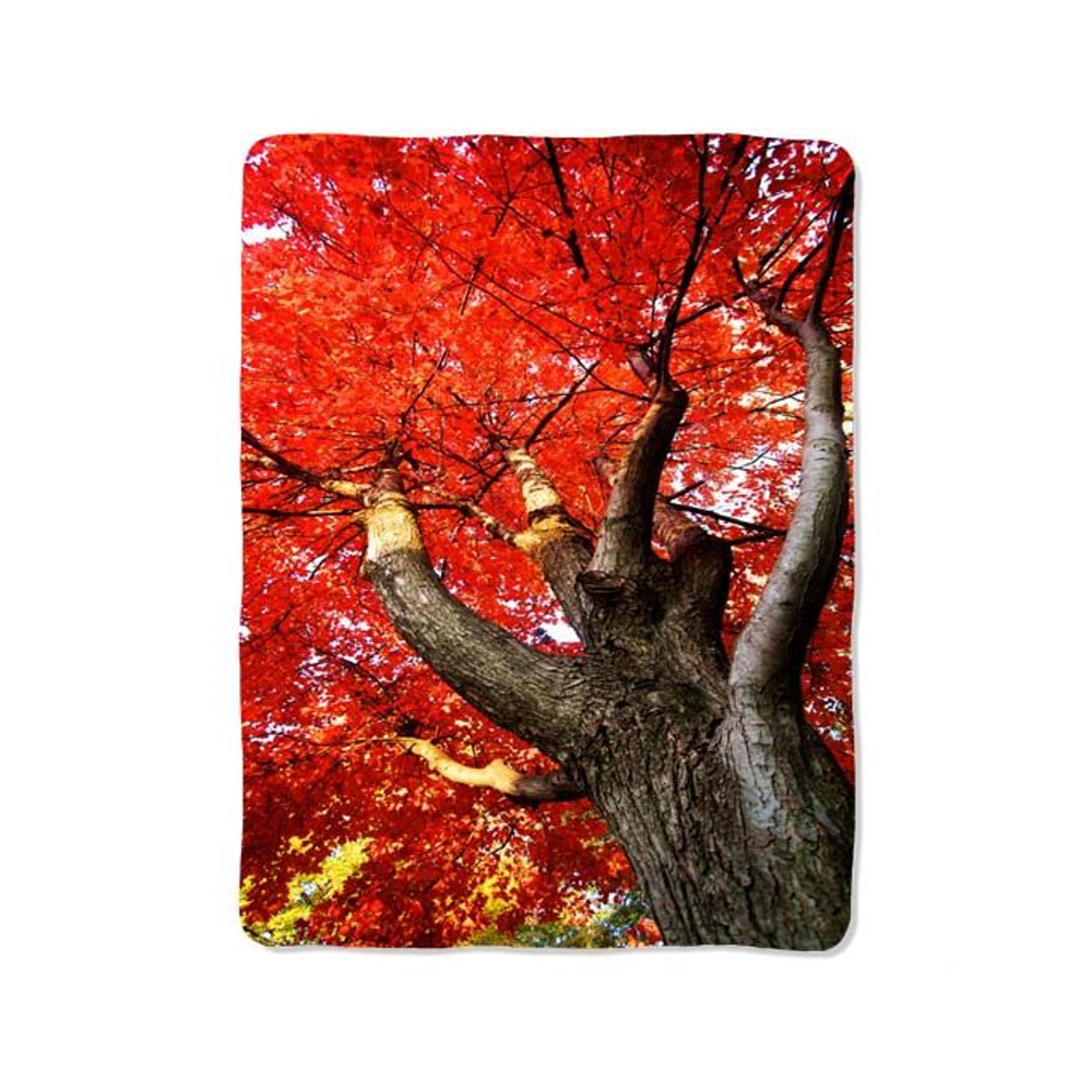 Autumn Tree Blanket 0
