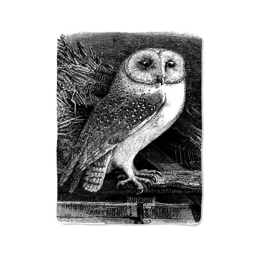 Black White Owl Blanket 0