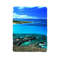 Hawaii Beach Photography Blanket 0