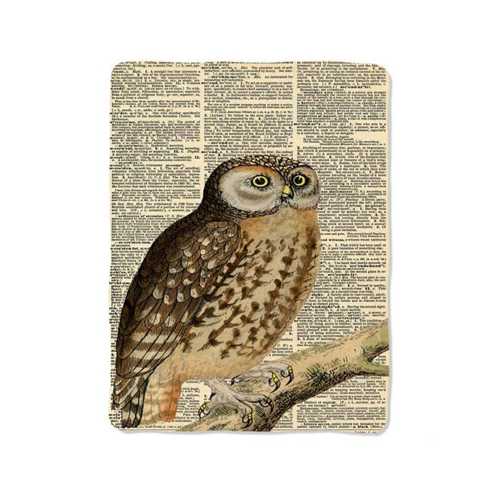 Owl Dictionary On Blanket 0