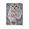 Snow Owl Blanket 0