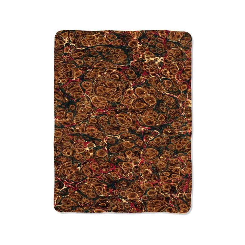 Tortoise On Blanket 0