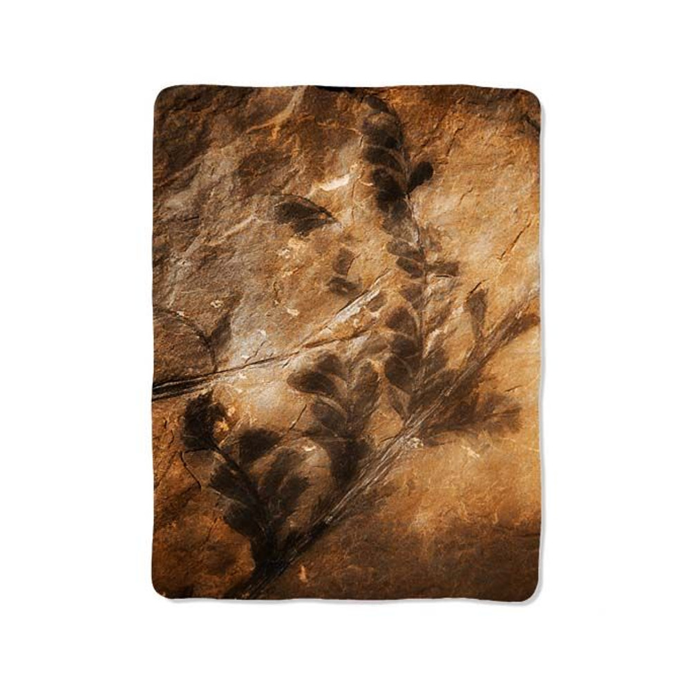 Tree Fossil Blanket 0
