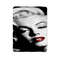 Beautiful Marlyn Monroe Blanket 0