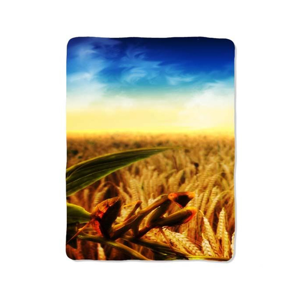 Field Photography Blanket 0