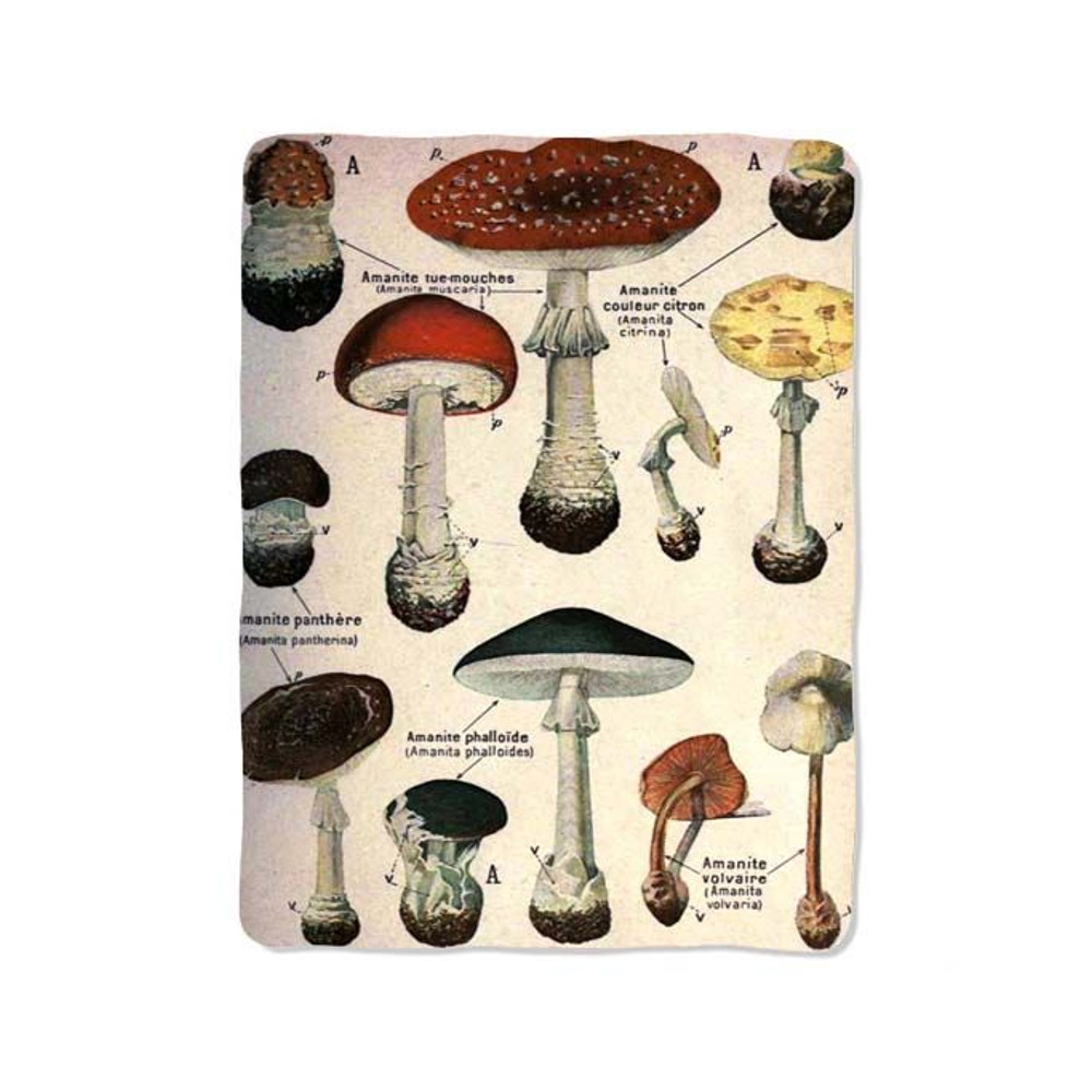 French Mushrooms Print Blanket 0