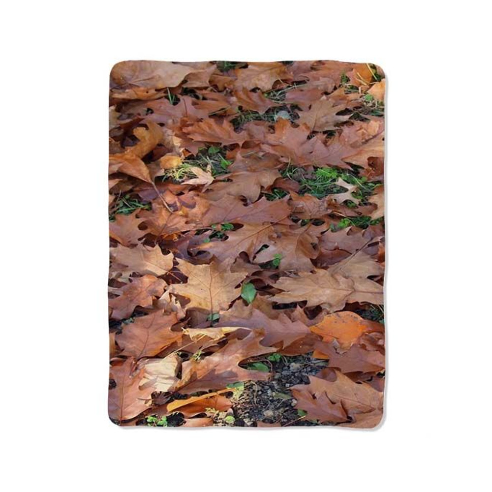 Leaves Dry Blanket 0