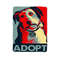 Adopt Dog Print On Blanket 0