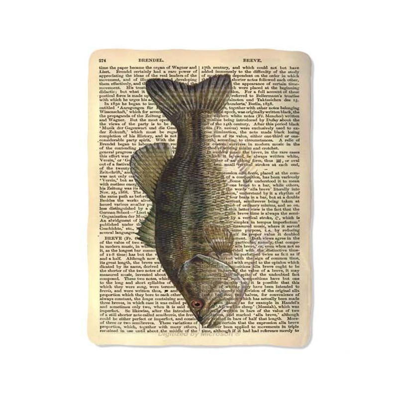 Dictionary Fish Print On Blanket 0