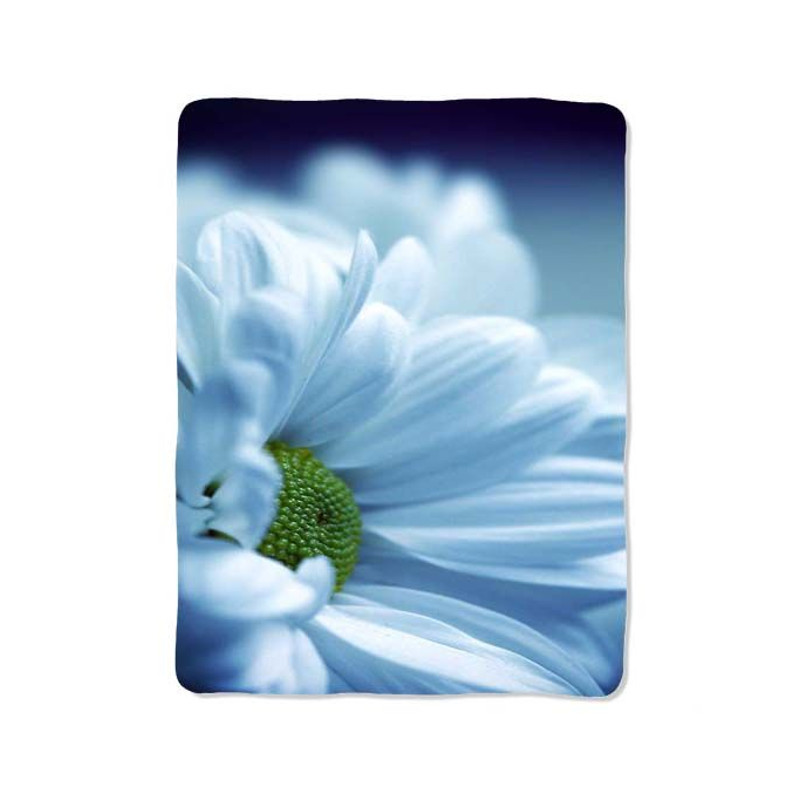 Nature Photo White Daisy Print On Blanket 0