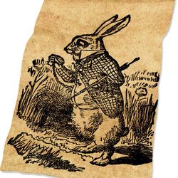 alice in wonderland 7 premium blanket