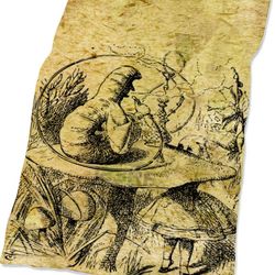 alice in wonderland popular premium blanket