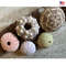5 Sea Urchin Sampler Pack Beach Wedding Favors Sea Urchins Natural Sea Shell Air Plant Display 0