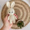 Toy Bunny Amigurumi Crochet Pattern  StepbyStep Guide 2