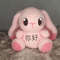 Chibi Bun Crochet Pattern  Cute  Easy Amigurumi Bunny 1