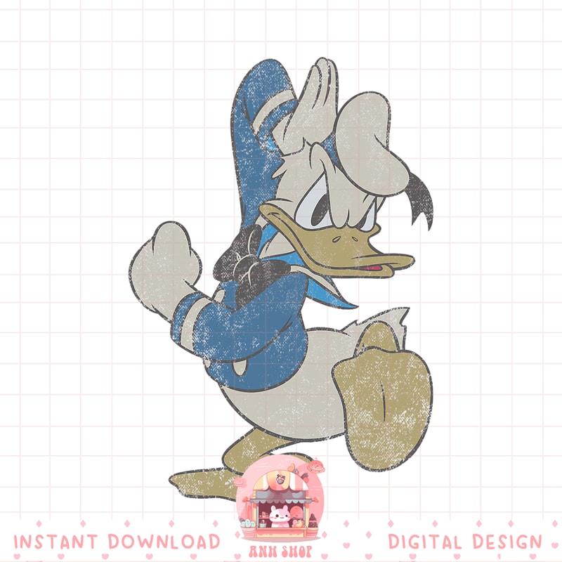 Disney Vintage Angry Donald Duck Hat PNG Download copy.jpg