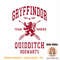 Harry Potter Gryffindor Quidditch Team Seeker PNG Download.jpg