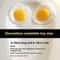Simulated Food Fried Egg Decompression Simulation Fried Egg Decoration 1