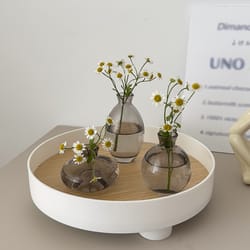 vintage fashion glass vase suit, hydroponic plant vases for flower arrangement, tabletop plants and bonsai home decor