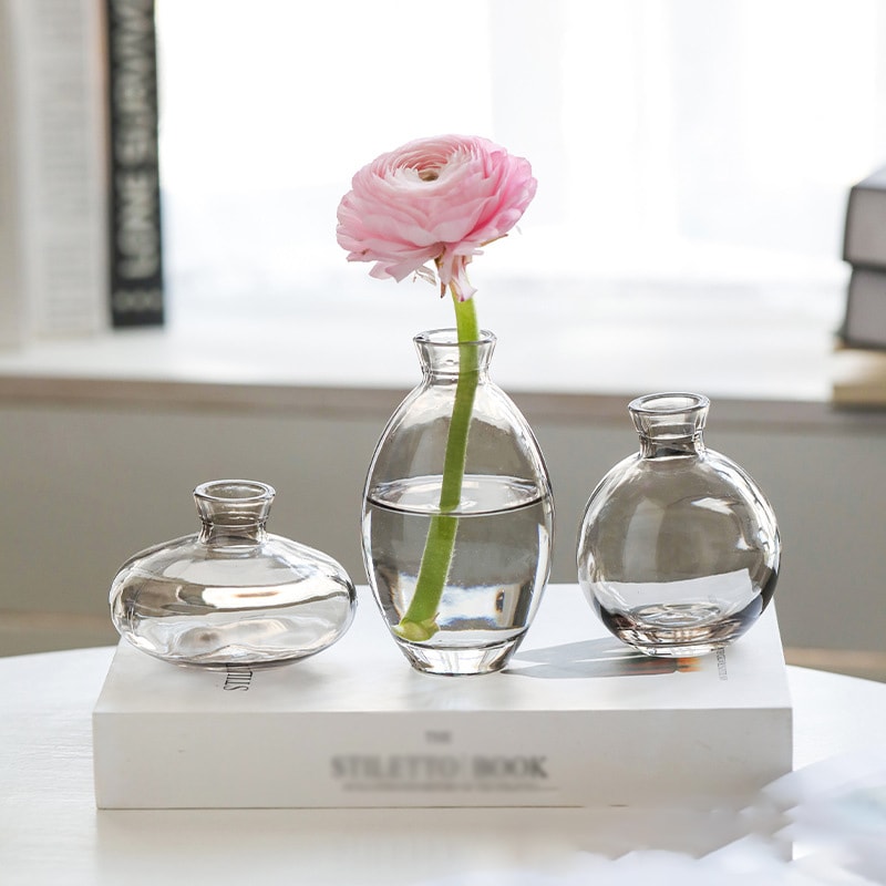 Vintage Fashion Glass Vase Suit Hydroponic Plant Vases For Flower Arrangement Tabletop Plants And B 1