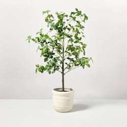 faux gypsophila leaf tree, hearth & hand with , elegant potted artificial tree for home decor