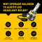 LED Headlight Bulbs Conversion Kit Cool White Low Beam Super Bright Long Lifespan Plug And Play Ins 4