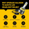 LED Headlight Bulbs Conversion Kit Cool White Low Beam Super Bright Long Lifespan Plug And Play Ins 4