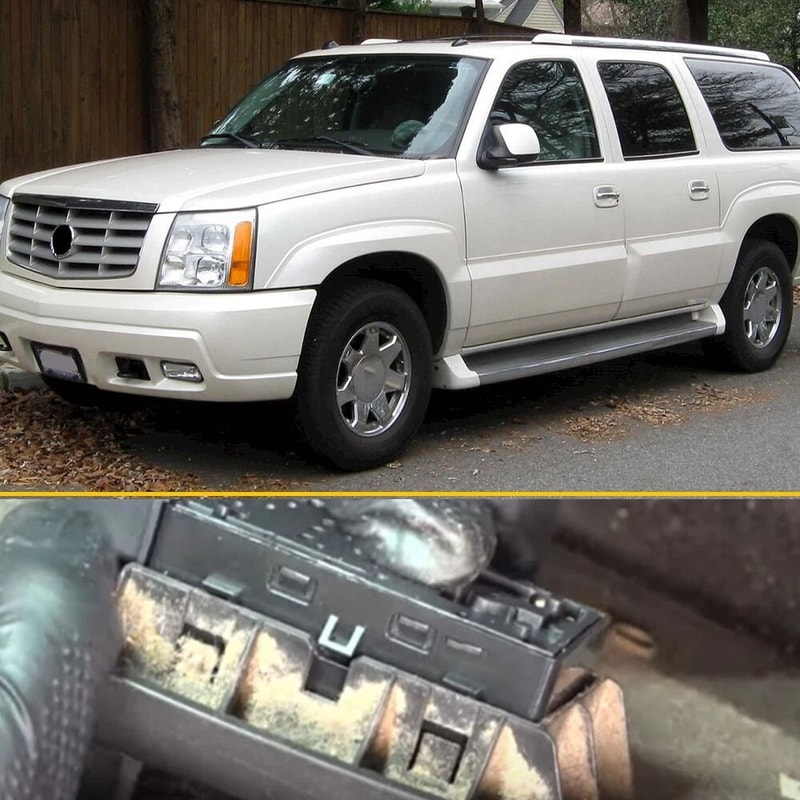 Power Seat Control Switch Direct Replacement For Damaged Car Seat Switch PlugandPlay With 8 Pins Co 2