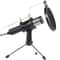 Condenser Microphone With Tripod Professional Studio Recording Broadcasting Equipment 0