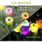 LED Solar Tulip Flower Lights Outdoor Garden Pathway Decor Lamp Solar Powered Yard Lighting For Law 10