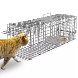 humane live animal trap cage, folding steel control cage for raccoons, cats, foxes & small animals – safe, durable