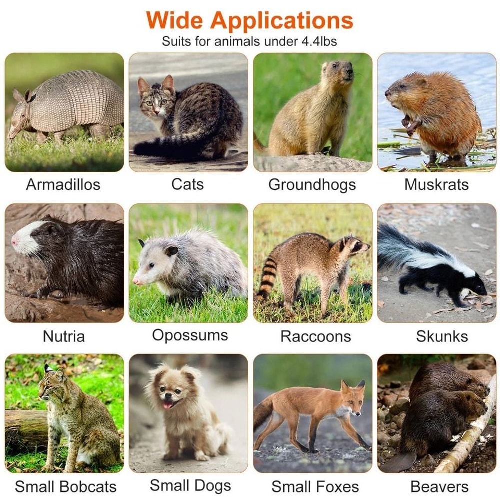 Humane Live Animal Trap Cage Folding Steel Control Cage For Raccoons Cats Foxes Small Animals Saf 10