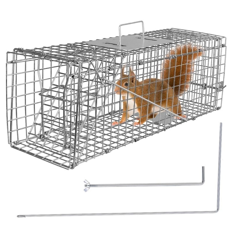 Humane Live Animal Trap Cage Folding Steel Control Cage For Raccoons Cats Foxes Small Animals Saf 12